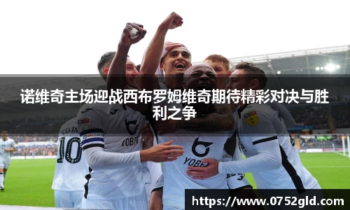 诺维奇主场迎战西布罗姆维奇期待精彩对决与胜利之争